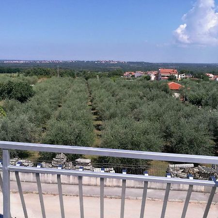 Apartment Coskovic Rosini Экстерьер фото